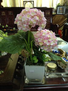 内购盛宴 日用百货超值精选，礼品公司大甩卖等你来！